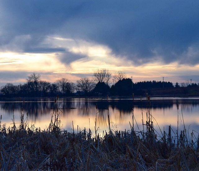 Peck Farm - @yoga.gal